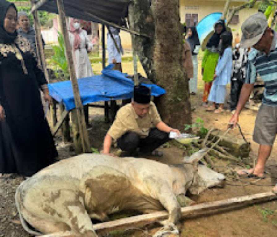Keluarga Besar Bawaslu Padang Lawas Lakukan Pemotongan Hewan kurban.