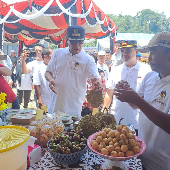 Bupati Madina Buka Pesta Buah di Tambangan