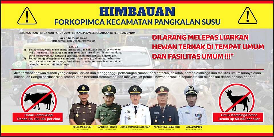 Forkopimca Pangkalan Susu Bentuk Satgas Tertibkan Hewan Ternak Liar