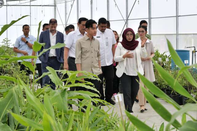 Didampingi Gubsu Bobby Nasution, Wapres Tinjau Taman Sains Teknologi Herbal dan Hortikultura