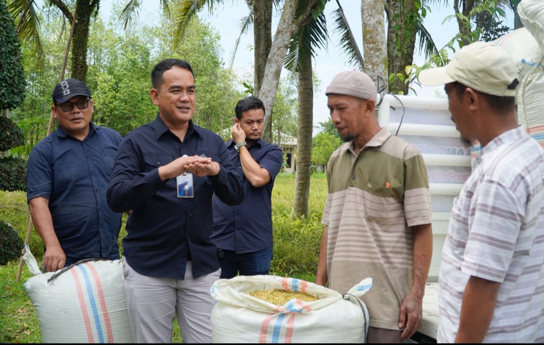 Perum Bulog Sumut Serap 3 Ton  Gabah Petani di Langkat