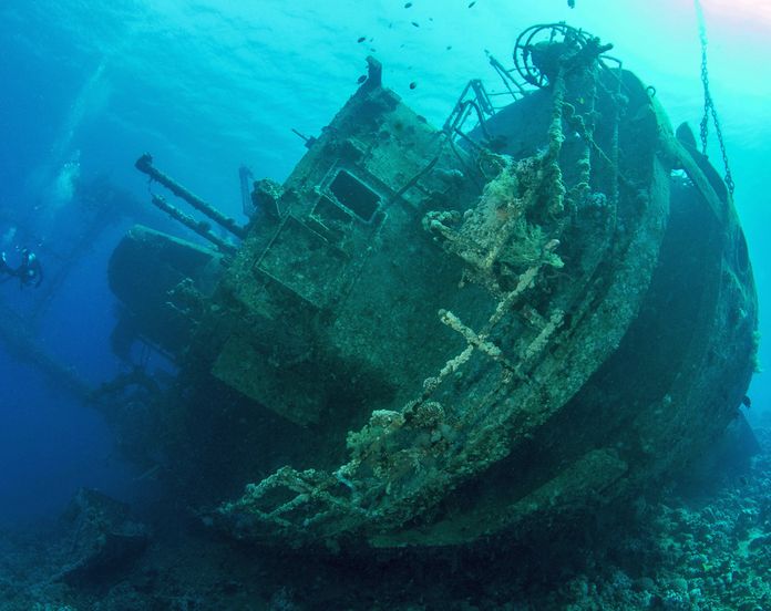 Harta Karun “The Black Swan”