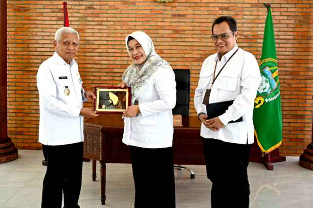 Wagubsu Surya Apresiasi Dedikasi Kepala Perwakilan BKKBN Selama Bertugas di Sumut