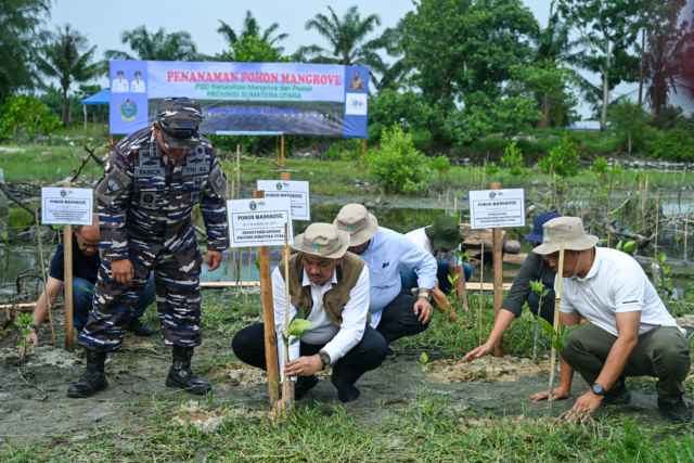 Hari Lingkungan Hidup 2026, Pemprov Sumut Targetkan Penanaman Mangrove 27 Hektare
